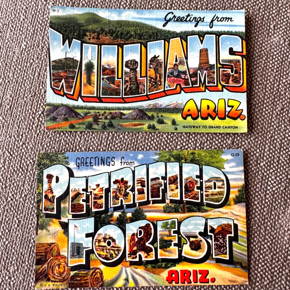Vintage Arizona Postcards -2 Greetings from Petrified Forest & From Williams, AZ